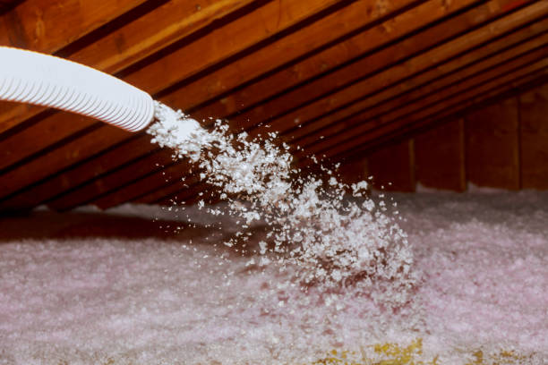 Best Local Insulation Services  in Alliae, NC