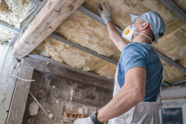 Best Cellulose Insulation  in Alliae, NC
