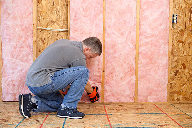 Best Attic Insulation Installation  in Alliae, NC