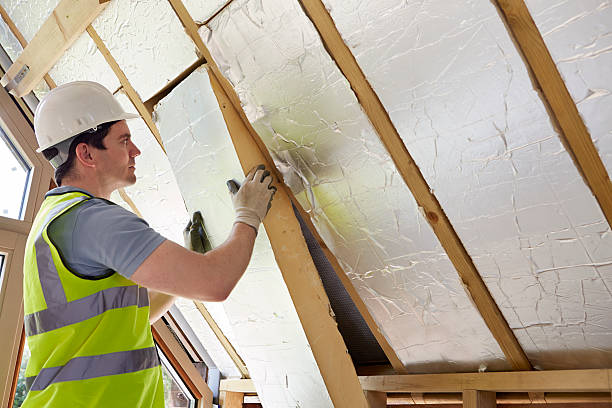 Best Attic Insulation Installation  in Alliae, NC